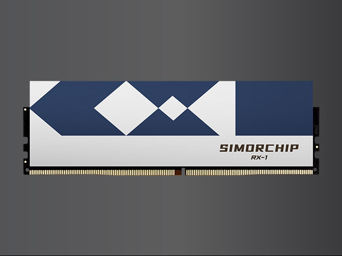 DDR5 RX1