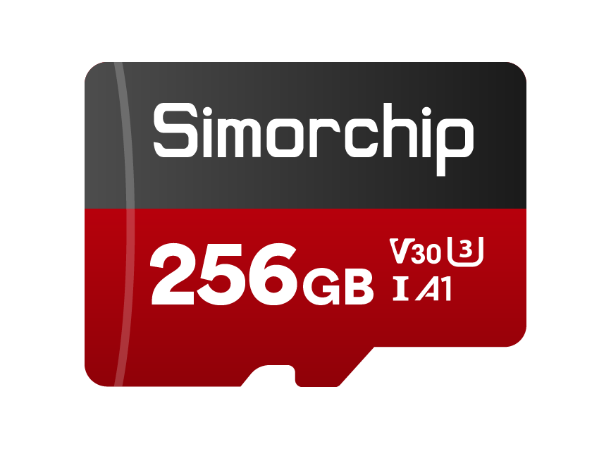 DyO T100 microSD card